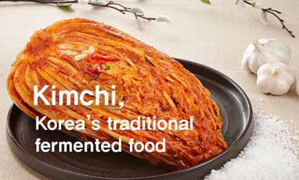Korean soul food Kimchi