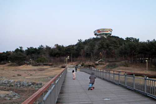영산강에 샛노란 봄이 오나봄, 나주 영산강둔치체육공원