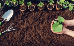 Turning the tables on trash: How Korea achieved 98 percent food waste recycling Photo