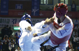 Taekwondo Promotion Foundation (TPF) photo
