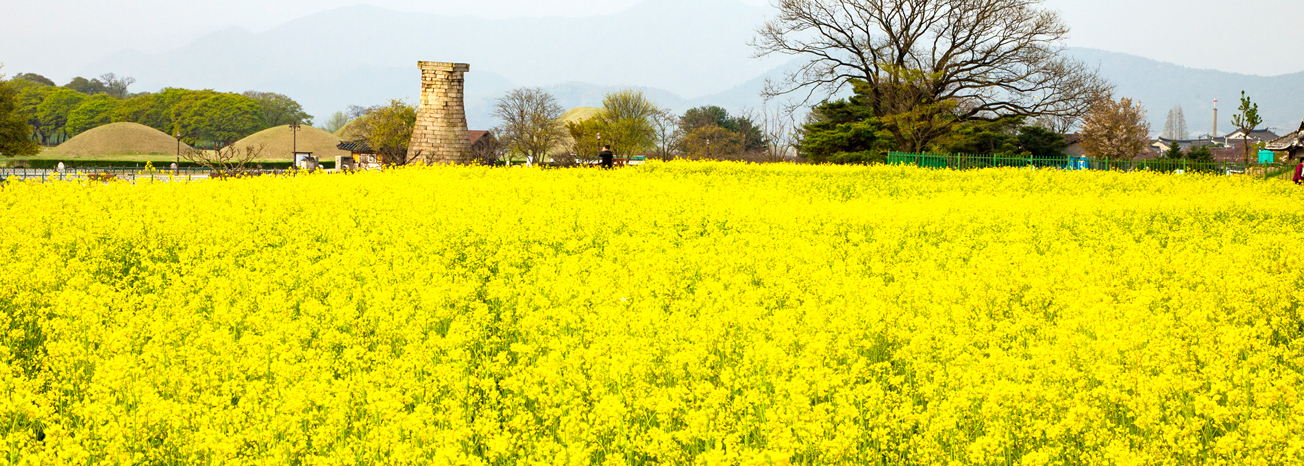 Cheomseongdae Observatory