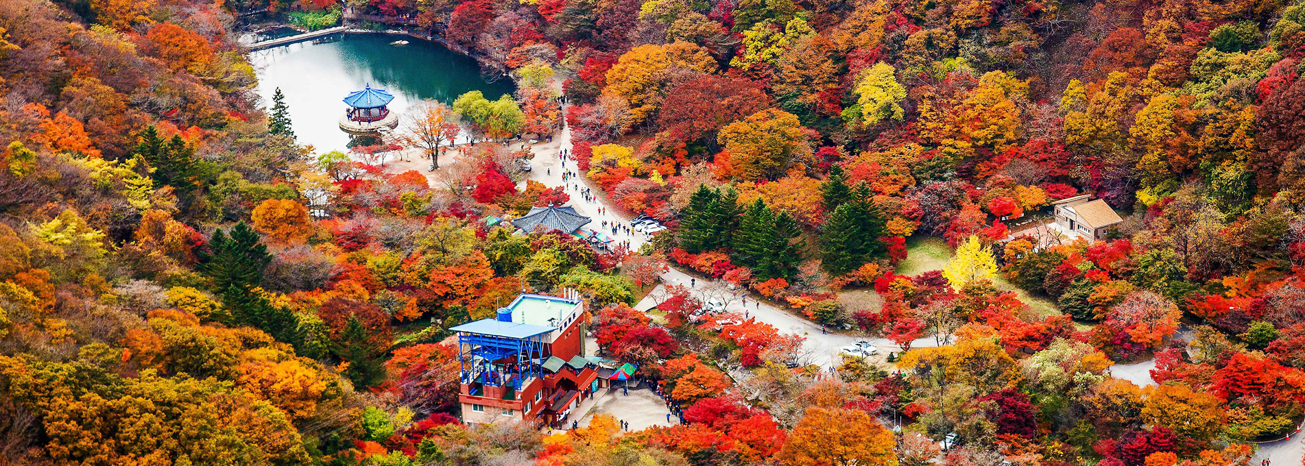 Naejangsan National Park [ⓒPhoto Korea - Ha Nam-gi]