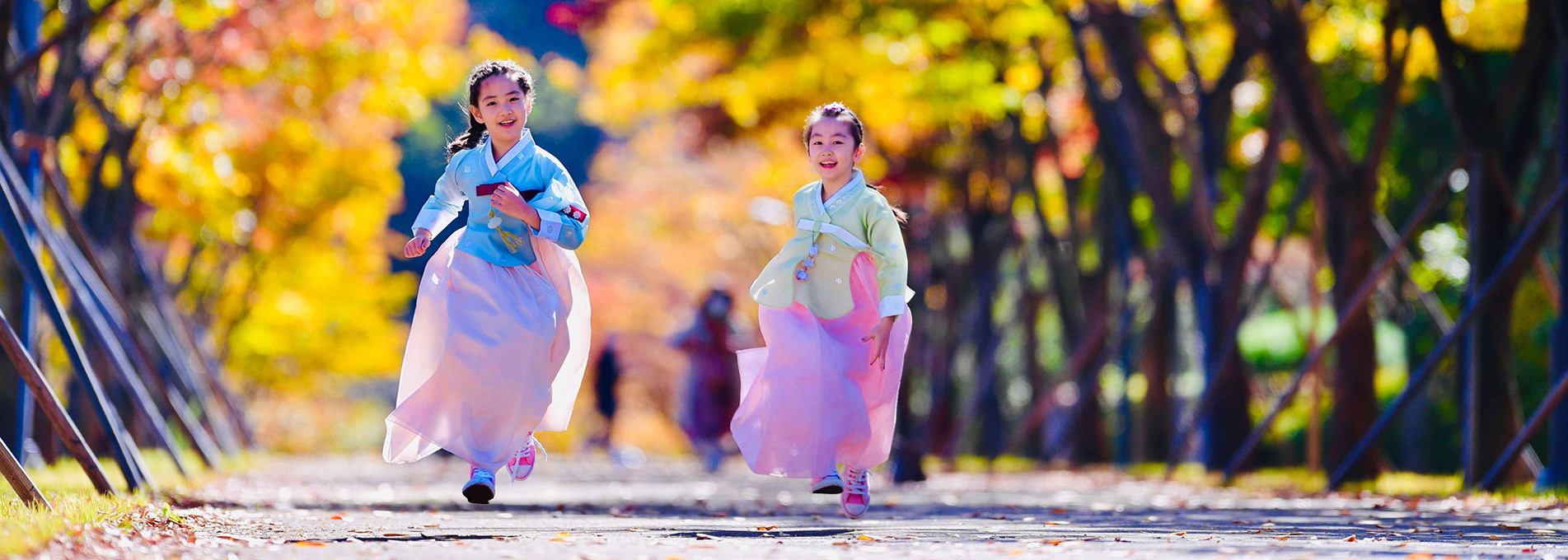 Maple Road by Munsu Maronie [ⓒPhoto Korea - Cho Dong-hyeon]