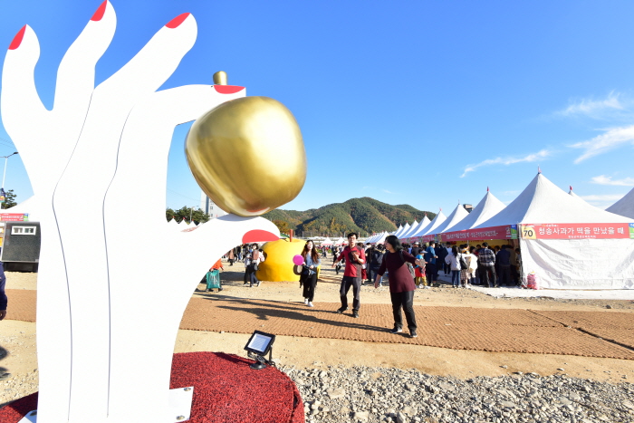 청송사과축제 관련 이미지 