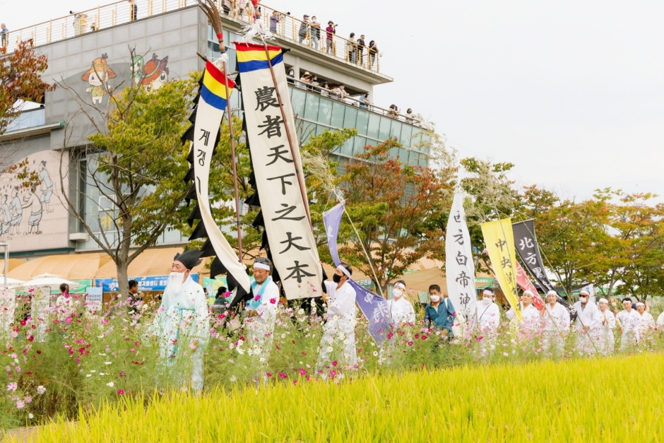 김제지평선축제 관련 이미지 