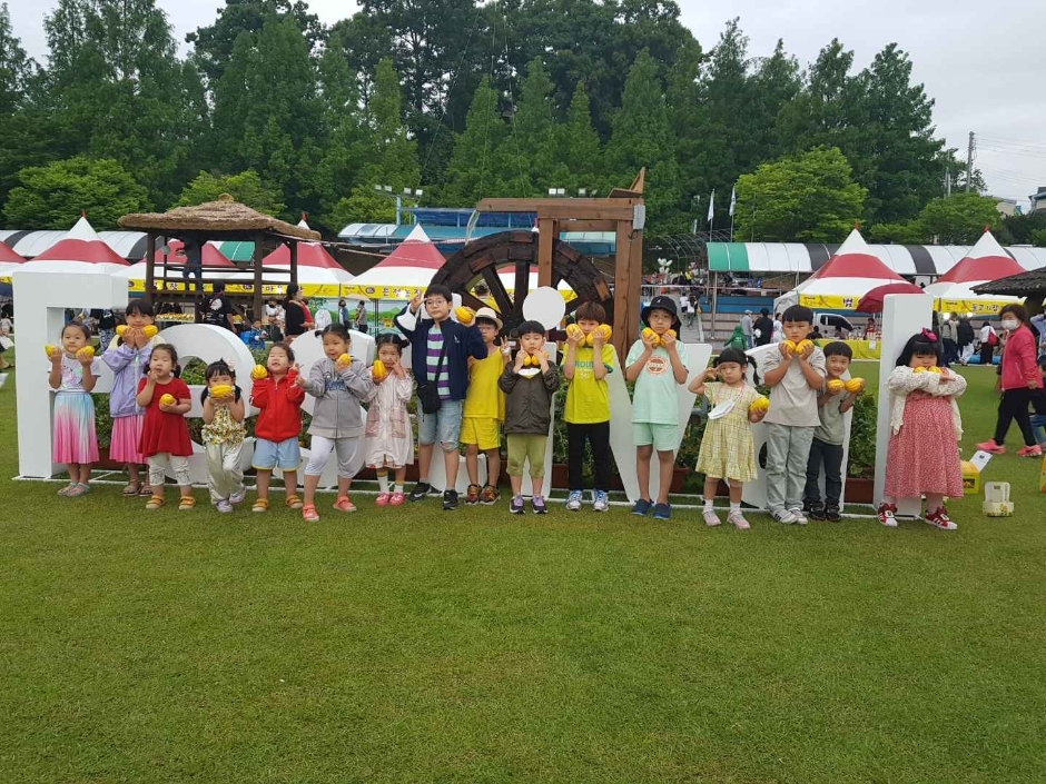 여주금사참외축제 관련 이미지