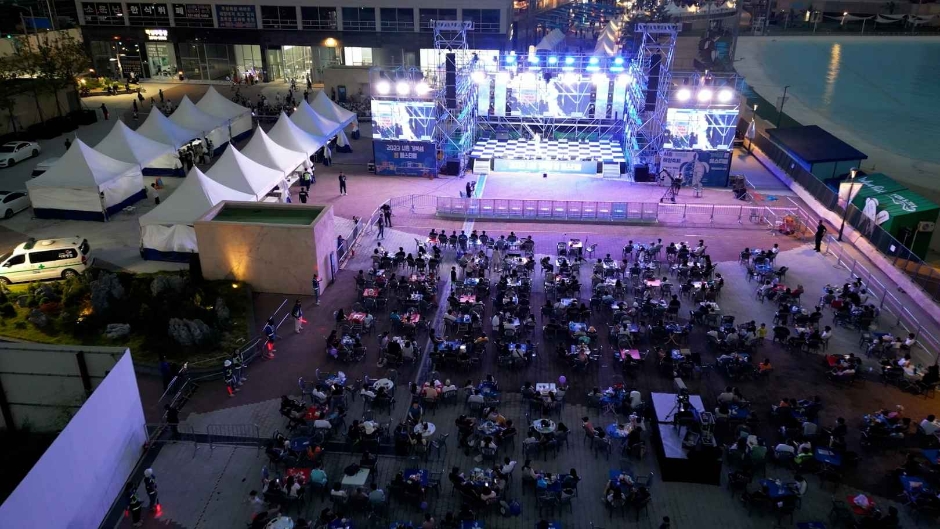 장항 맥문동 꽃 축제 관련 이미지
