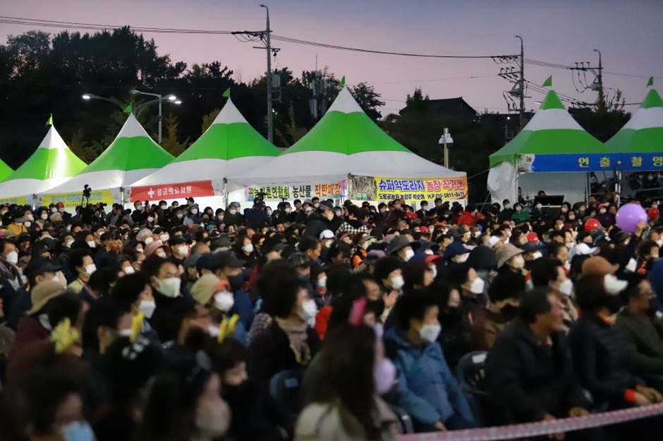 경산대추축제 & 농산물한마당 관련 이미지 