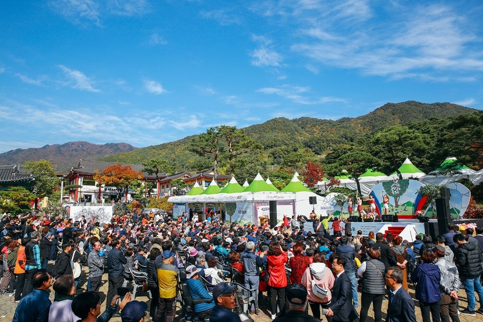 영주장날 농특산물대축제 관련 이미지 