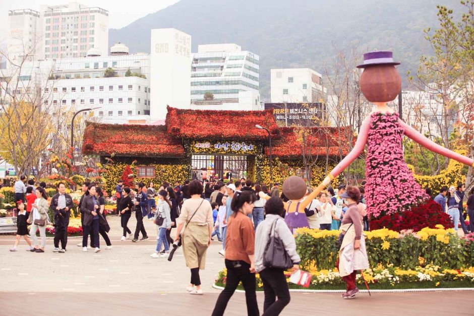 마산가고파국화축제 관련 이미지 