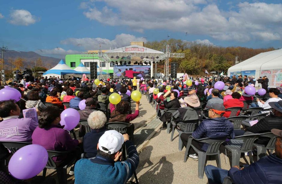 청춘양구 펀치볼 시래기 사과축제 관련 이미지 