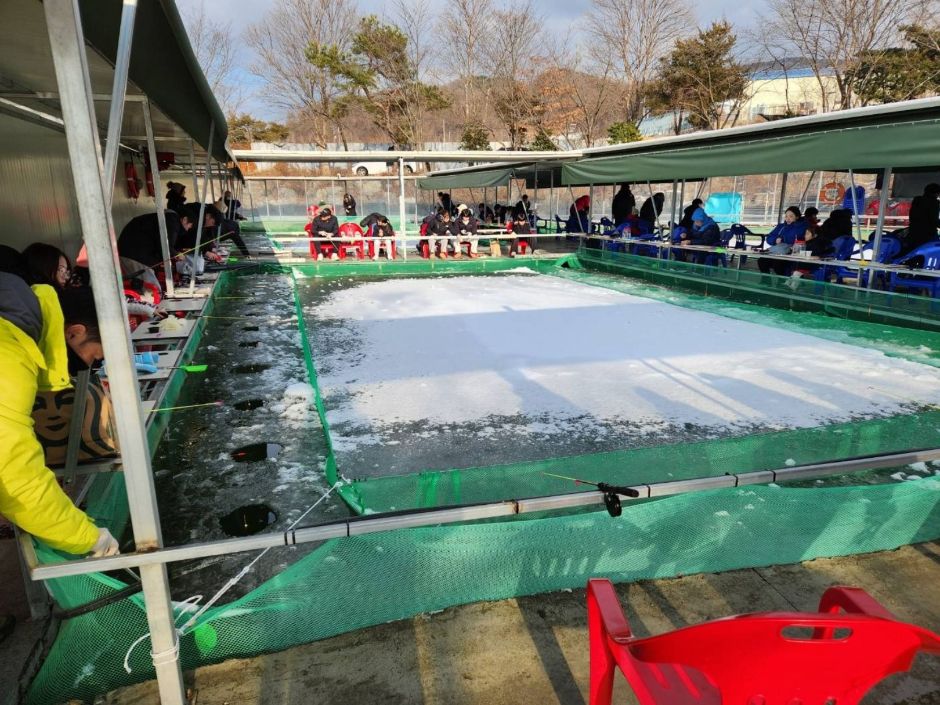 시흥 패밀리 빙어 축제 관련 이미지 