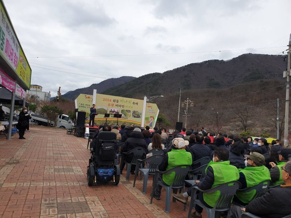 원동면 미나리 축제 관련 이미지 