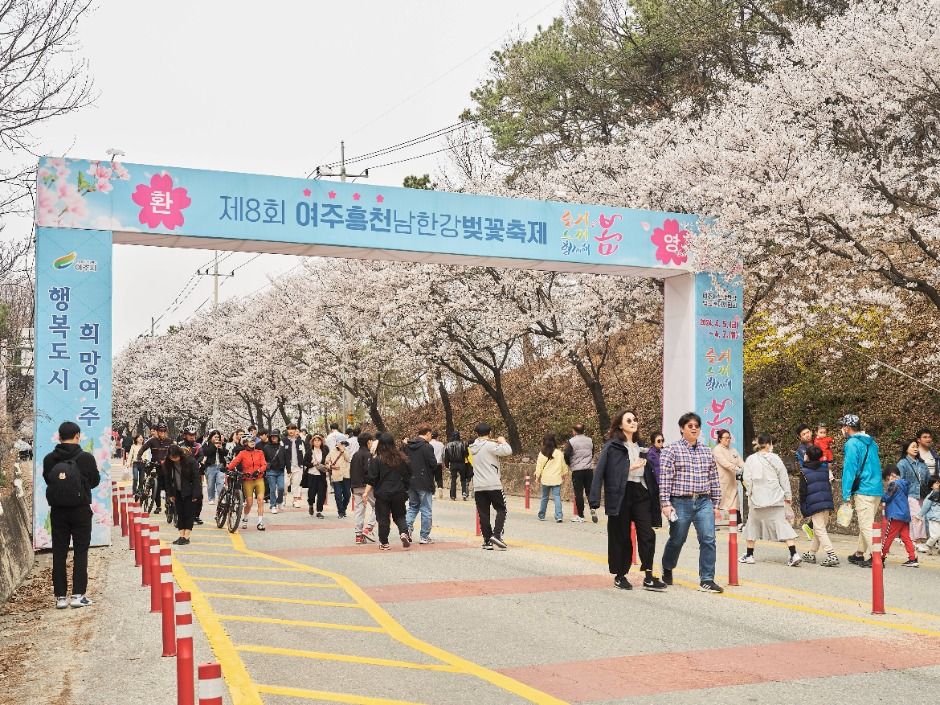 여주흥천남한강 벚꽃축제 관련 이미지 