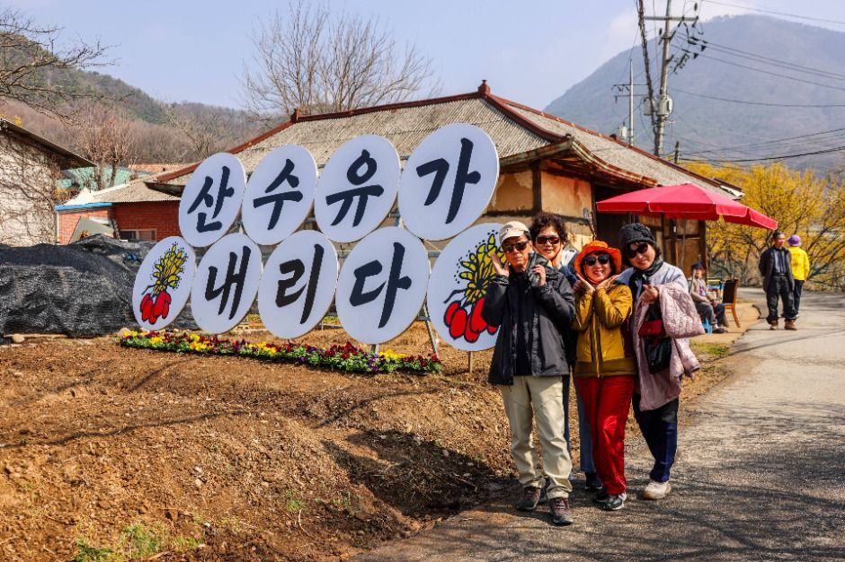 양평산수유한우축제 관련 이미지 