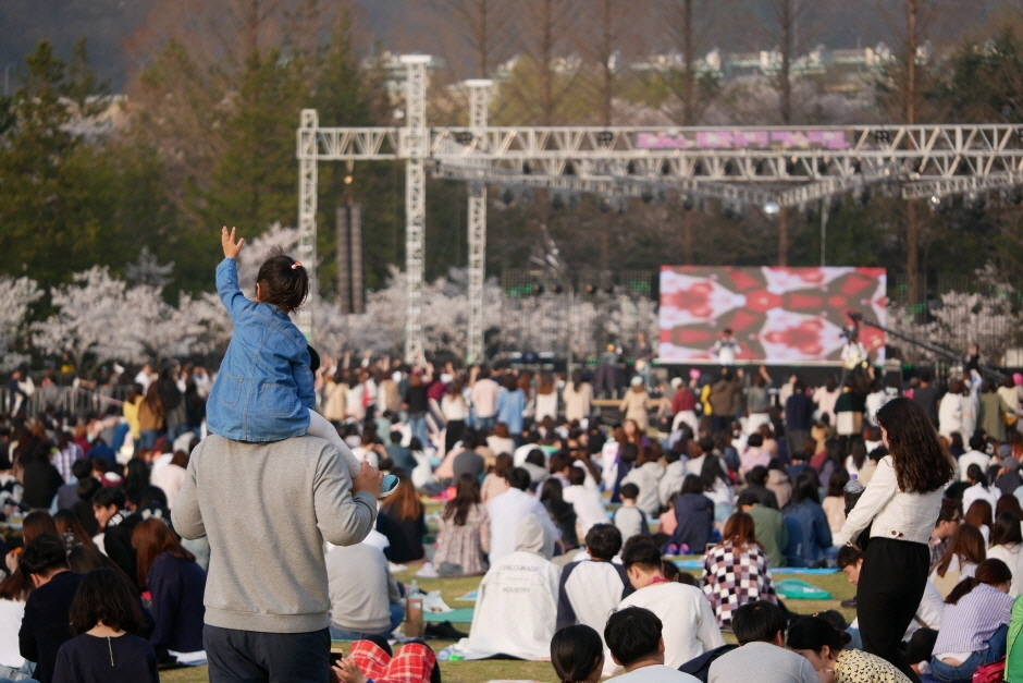 대덕물빛축제 관련 이미지 