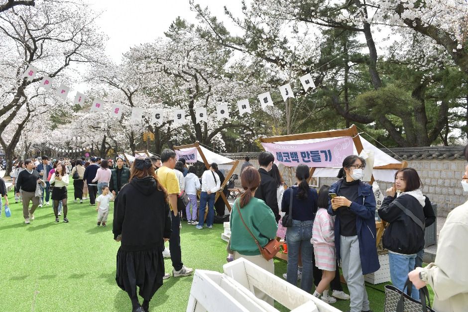 경주 대릉원돌담길 축제 관련 이미지 