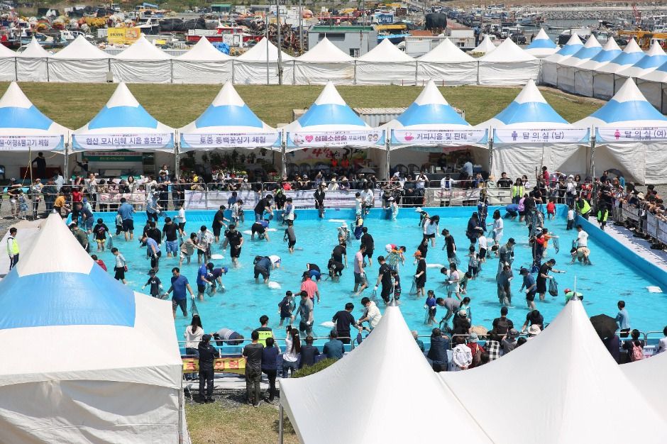 서천 자연산 광어 도미 축제 관련 이미지