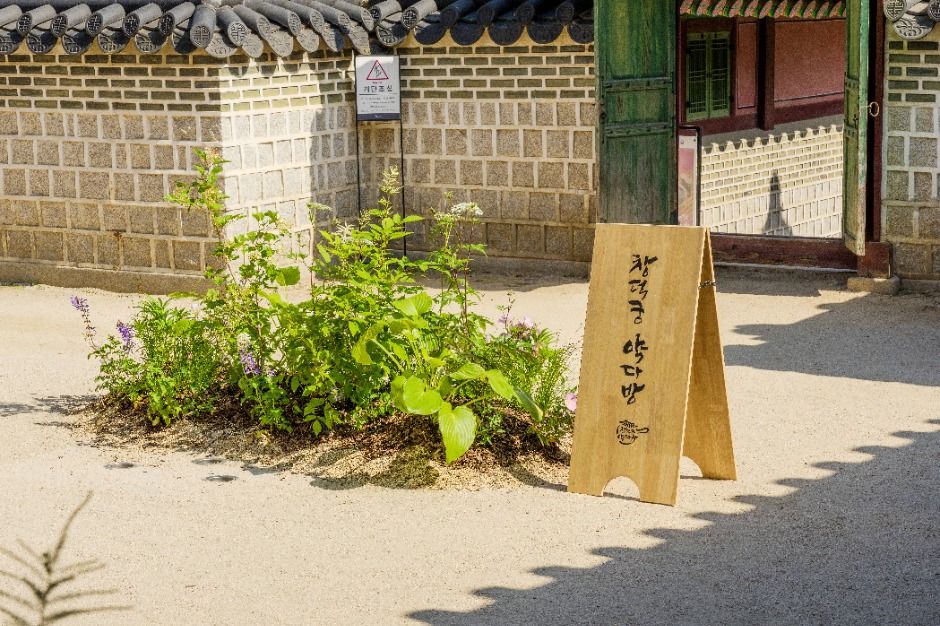 창덕궁 약다방 관련 이미지