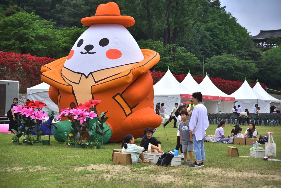 영주 소백산 철쭉제 관련 이미지