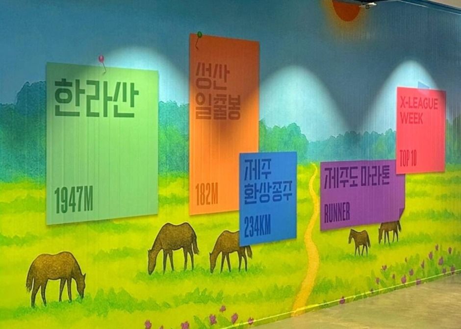 9.81파크 <그래비티 퀘스트 제주> 관련 이미지