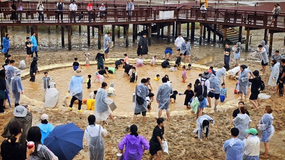 무안 황토 갯벌축제 관련 이미지