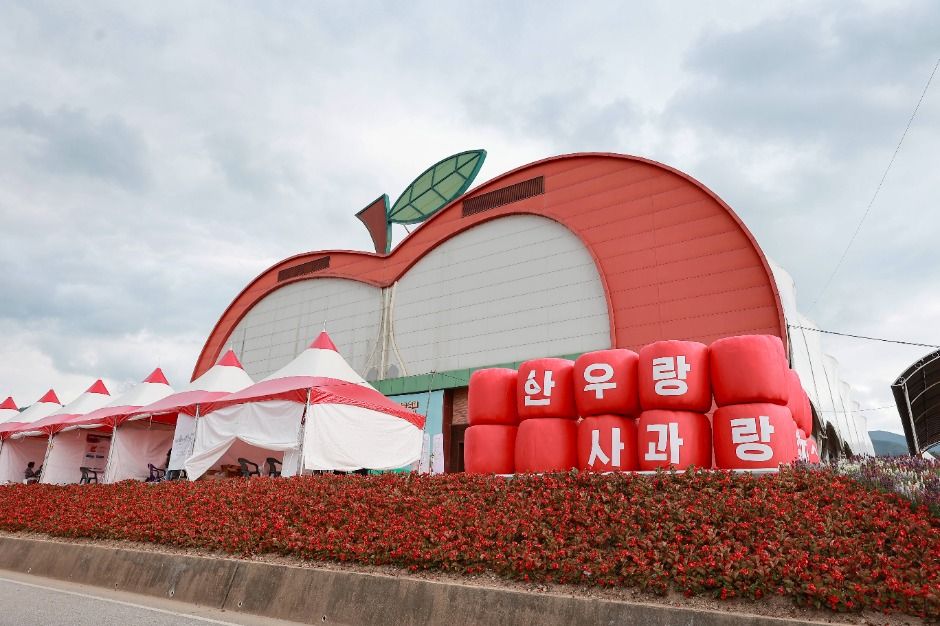 장수한우랑사과랑축제 관련 이미지