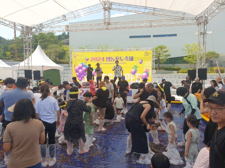 영동포도축제 관련 이미지 - 자세한 정보는 아래를 참조하세요