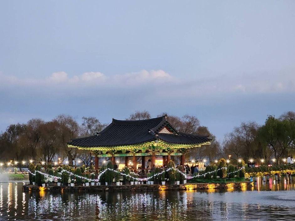 백제고도부여국화축제 관련 이미지