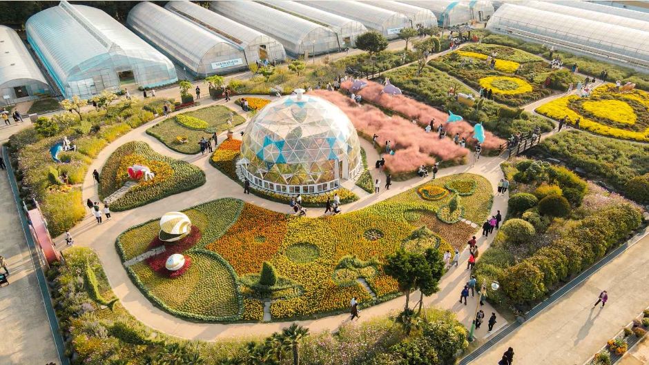 거제섬꽃축제 관련 이미지 