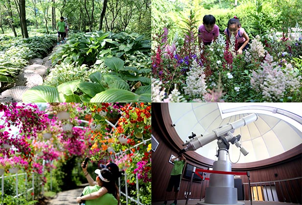 숲과 정원이 어우러진 야생화 배움터, 청양 고운식물원