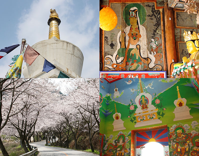 두 개의 불교문화 체험, 보성 대원사와 티벳박물관