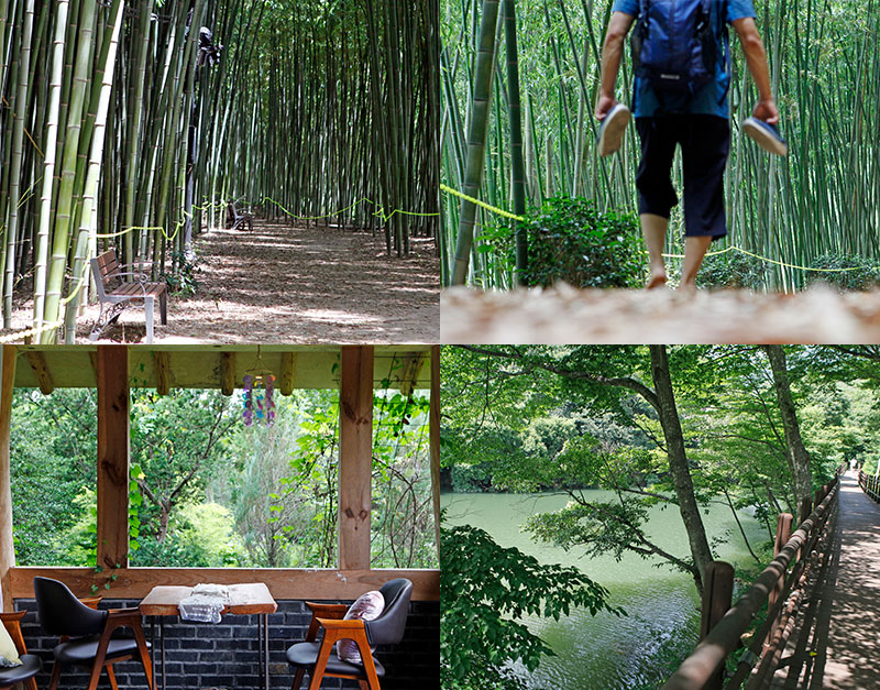 8월의 ‘대〔竹〕’ 피서, 구례 섬진강대숲길