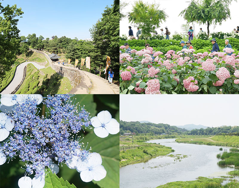 유구천의 유구한 자연과 만나는 생태 정원, 공주 유구색동수국정원