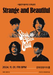 서울전자음악단 단독공연: Strange and beautiful