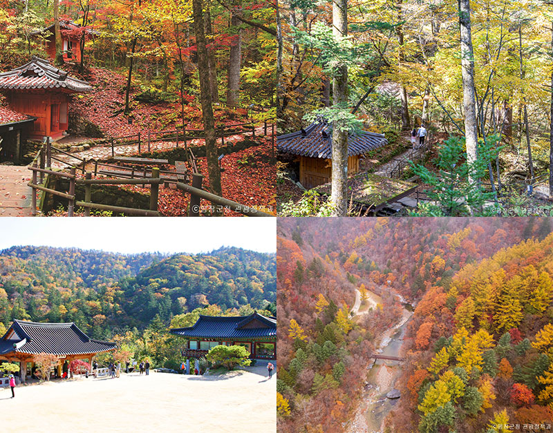 ‘바스락바스락’ 만추의 산책, 오대산 선재길 & 밀브릿지