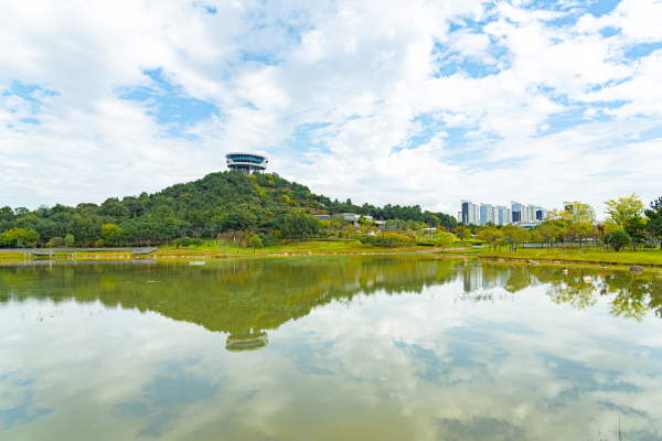 메타세쿼이아 가로수의 화려한 도열, 나주 전라남도산림연구원