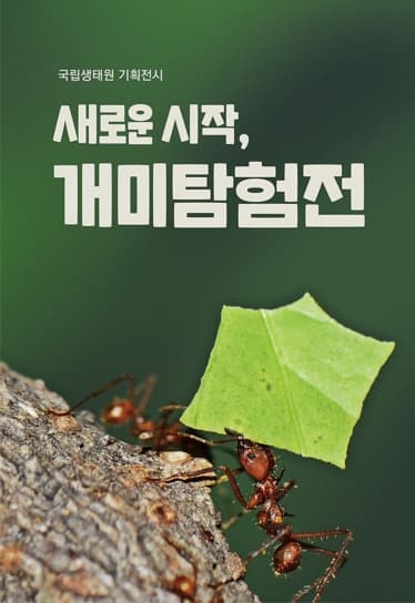 [전시]새로운 시작, 개미세계탐험전