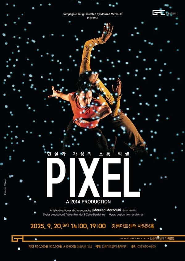 [기타][강릉] 픽셀 PIXEL