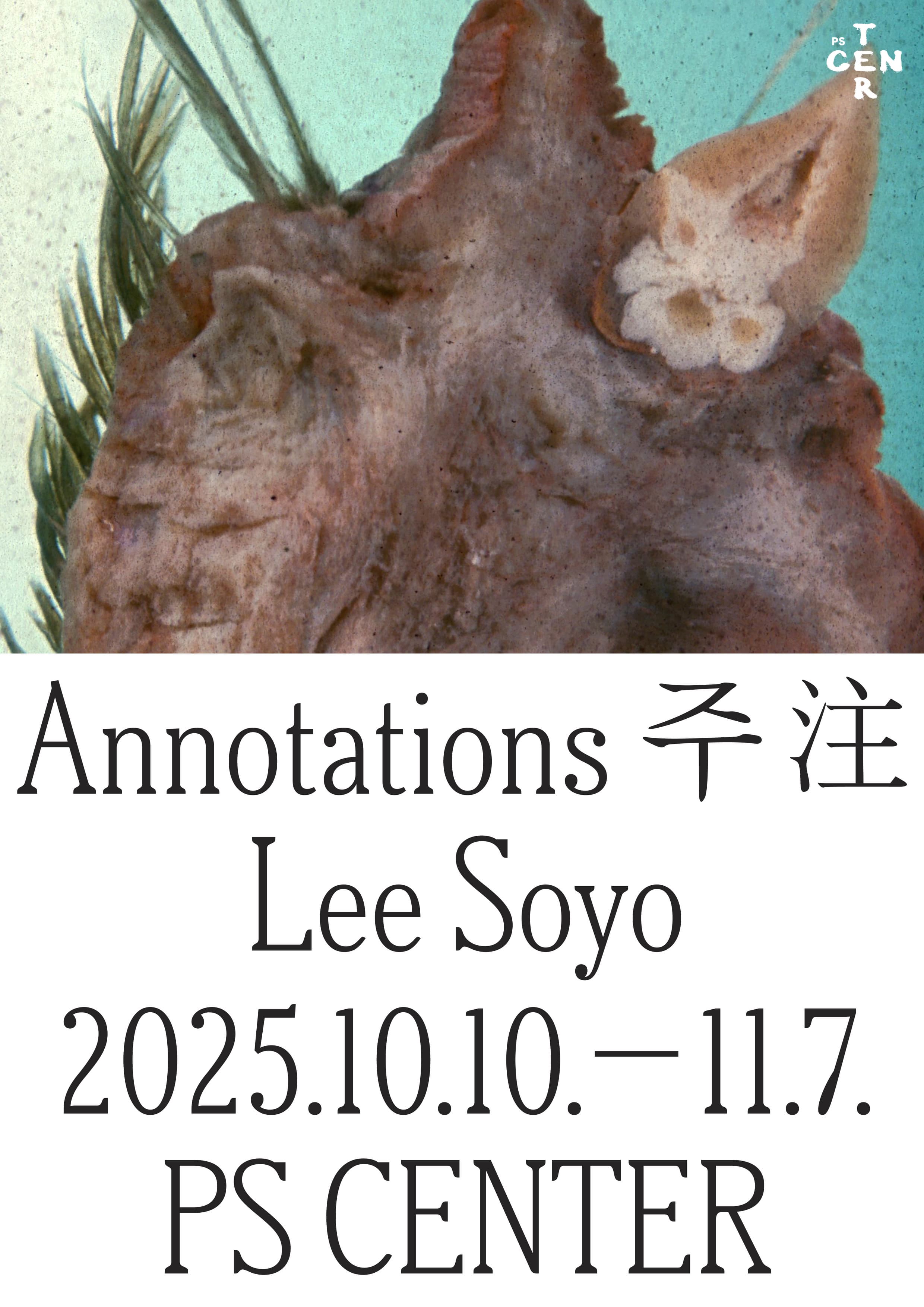 Annotations 주 注