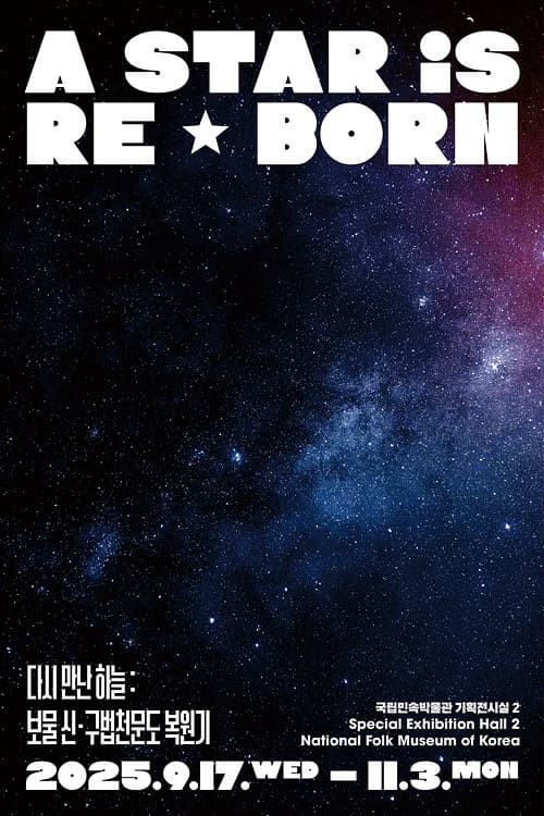 다시 만난 하늘: 보물 신·구법천문도 복원기