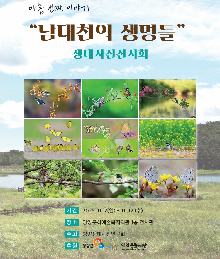 양양생태사진연구회 전시회 「남대천의 생명들」