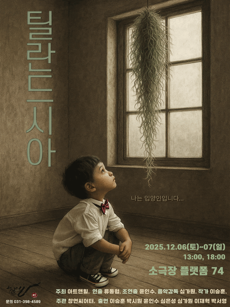 [대학로] 틸란드시아