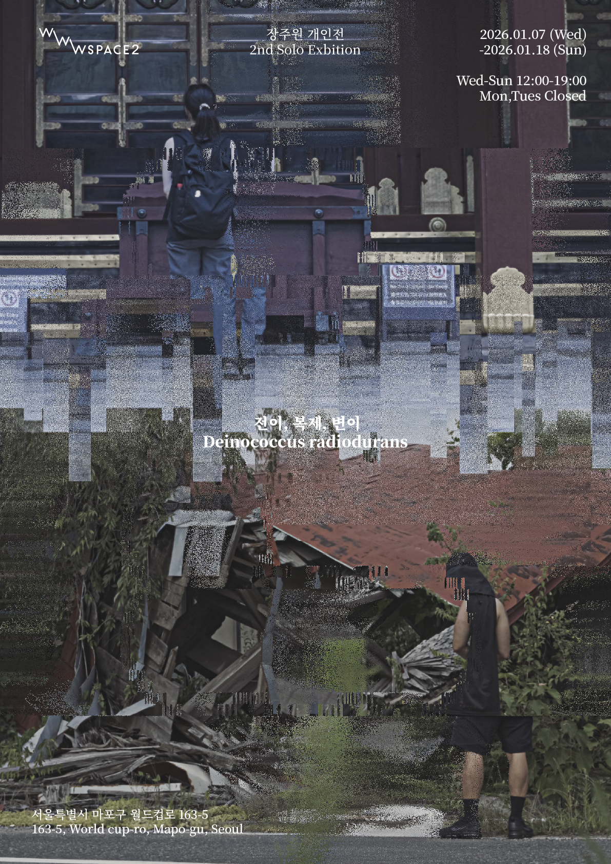 장주원 개인전 : 《전이, 복제, 변이》