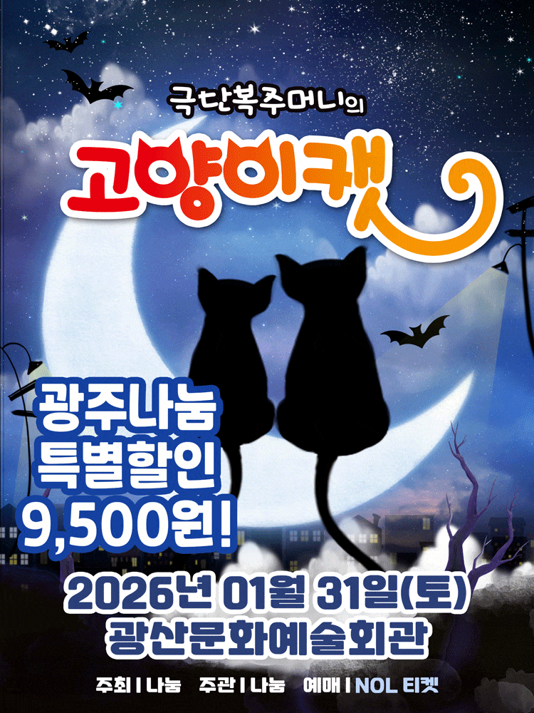 [광주] 고양이 캣