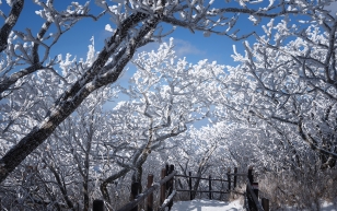 Exploring Muju: Korea’s ultimate winter getaway Photo