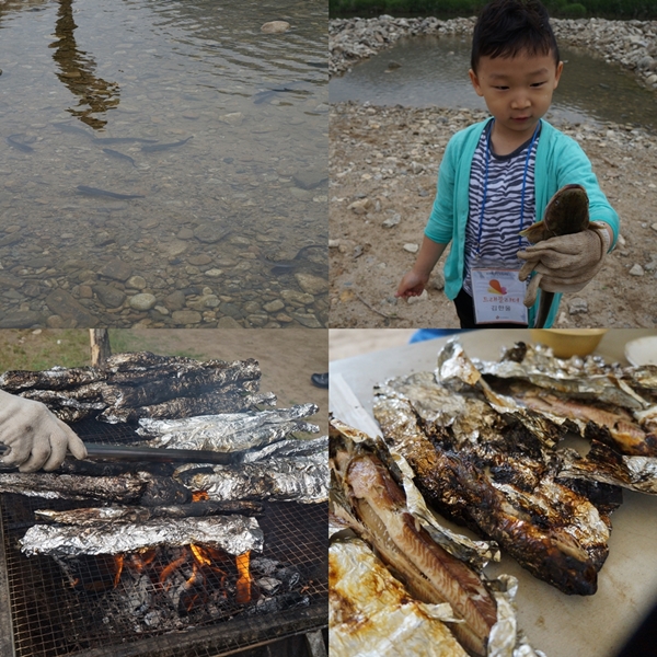 메기 잡기 체험과 메기구이
