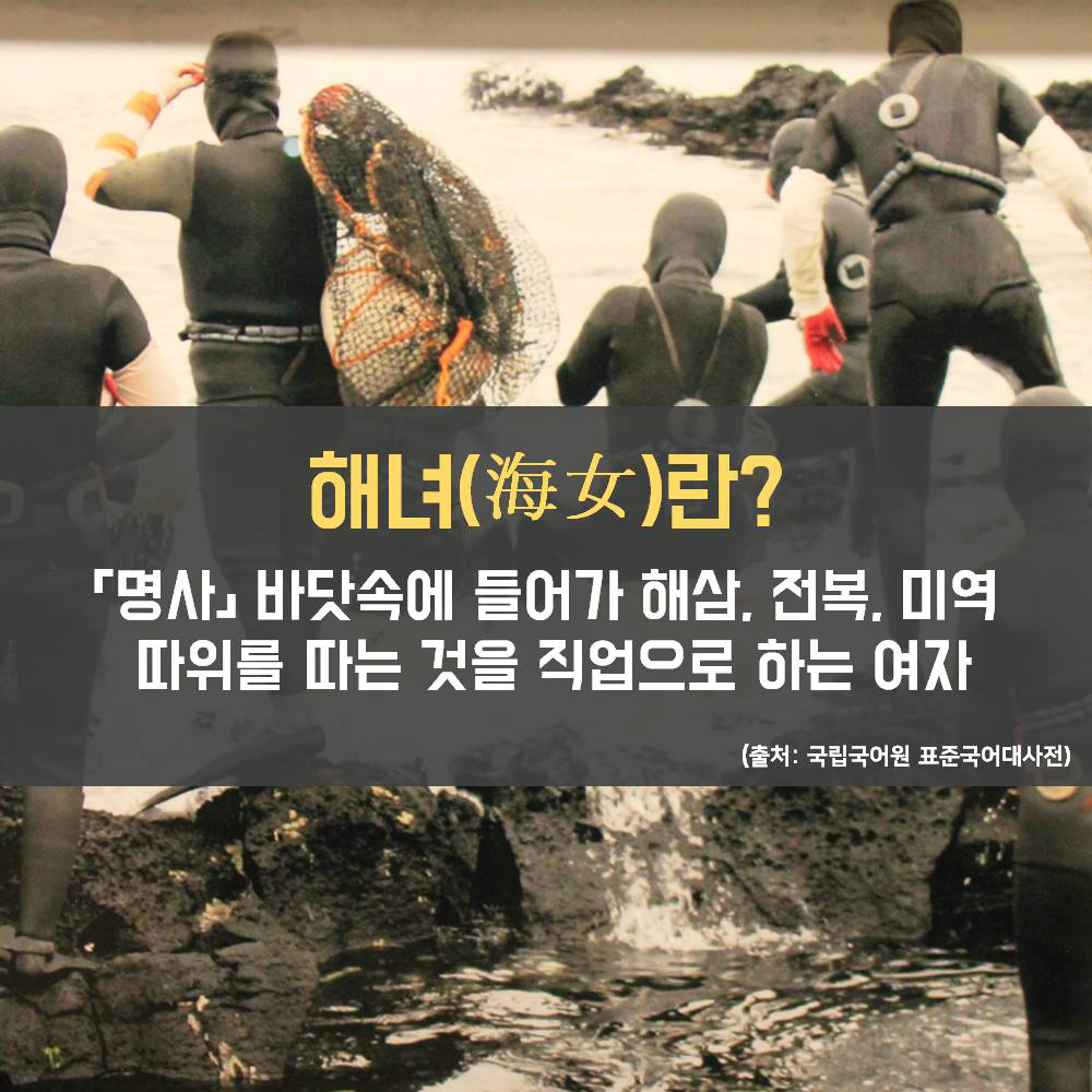 해녀(海女)란? 「명사」 바닷속에 들어가 해삼, 전복, 미역 따위를 따는 것을 직업으로 하는 여자 (출처: 국립국어원 표준국어대사전)