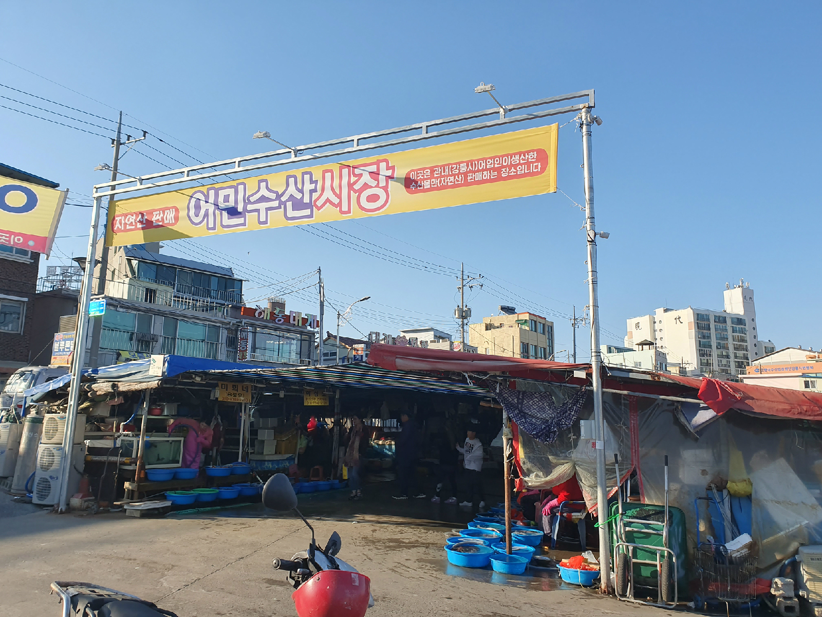 주문진 수산 시장
