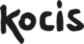 海外文化広報院 logo